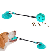 Chew Ball Toy for Dogs
