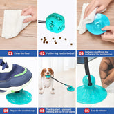 Chew Ball Toy for Dogs