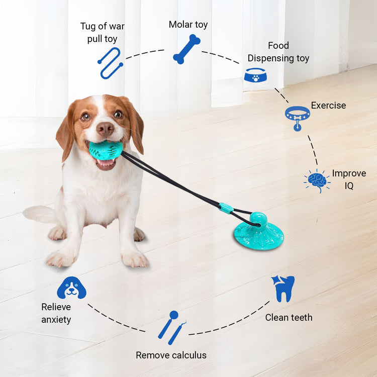Chew Toy for Dogs and Puppy